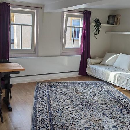 Lovely Oldtown-Appartment Bad Homburg vor der Höhe Exteriör bild